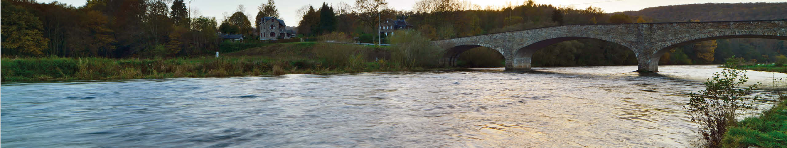 Banner Antwerpen - België